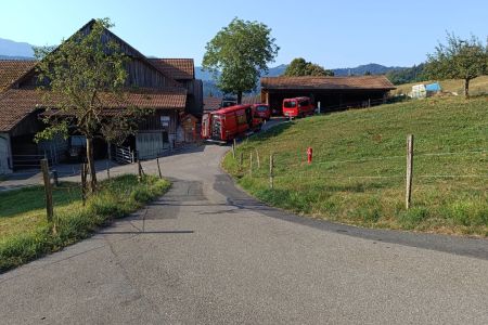 b2d9064d-571e-4f53-95f3-0d4c7eba3f50.JPG